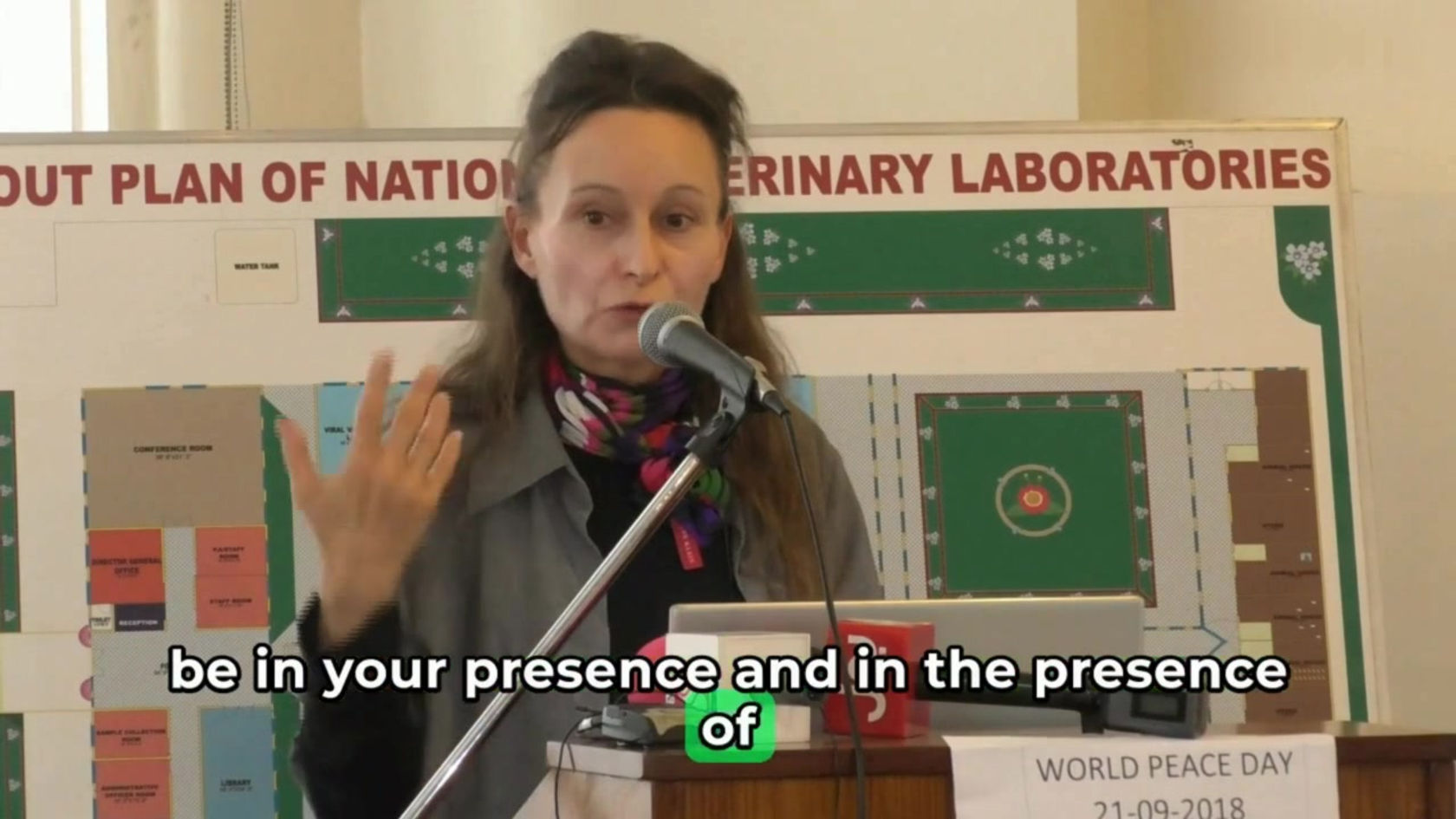 Speech on International Peace Day